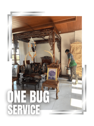 เดินท่อป้องกันปลวก บ้านใหม่ นนทบุรี